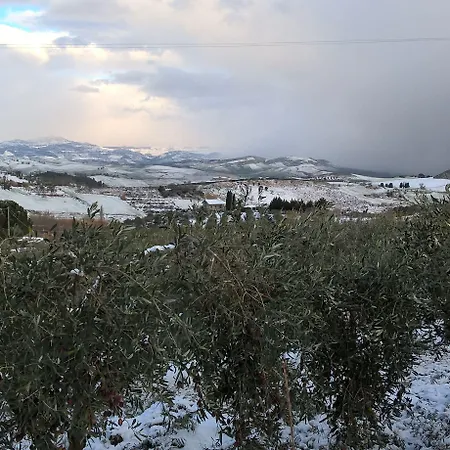 Bed House Floristella *