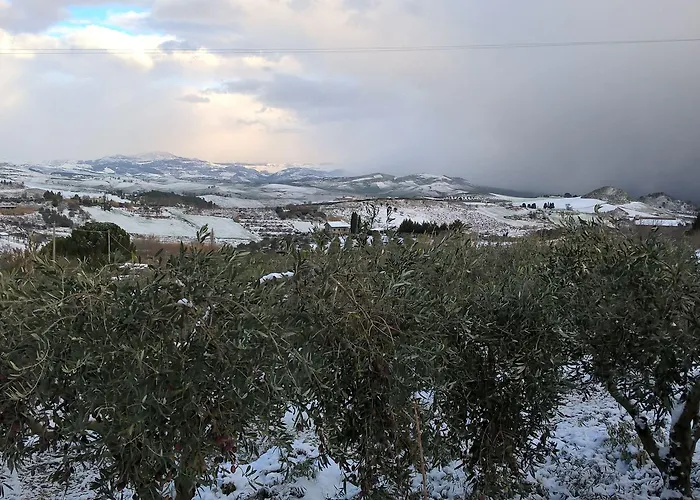 Bed House Floristella *